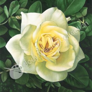 Joey Wester Yellow Rose painting